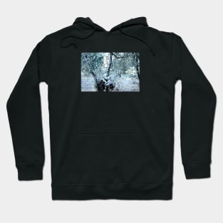 Kaleidoscope Therapy Autumn Nature Hoodie